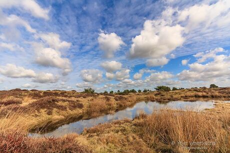 Wolken