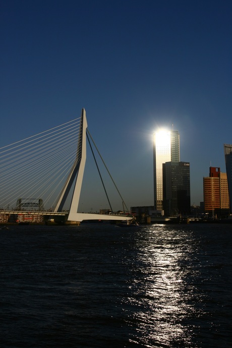 Erasmusbrug Rotterdam & zonnereflectie in hoogbouw