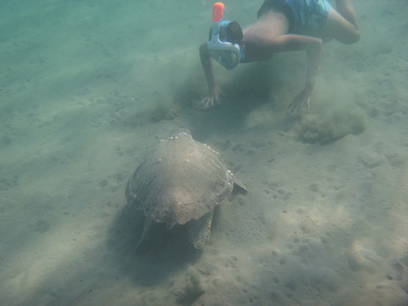 snorkelen op zakynthos