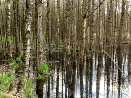 Met de voeten in het water