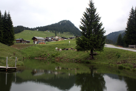 sankt gallenkirch