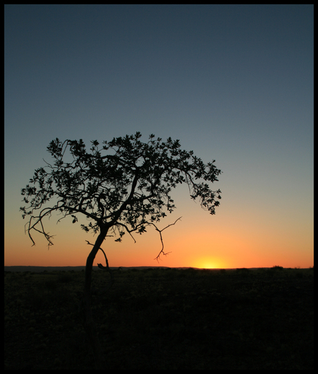 African sunset