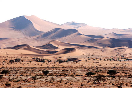 Sossusvlei