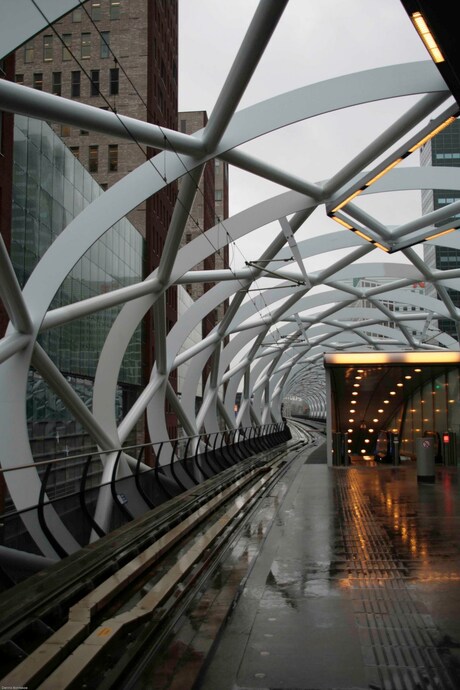 Tram station den haag