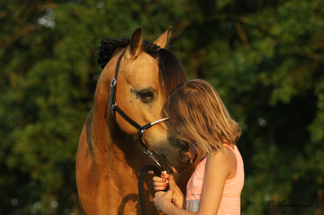 Liefde tussen kind en pony