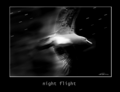 Night flight