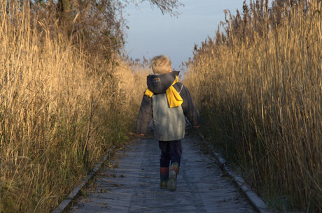 Wandelen