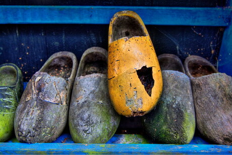 Zaanse schans 03