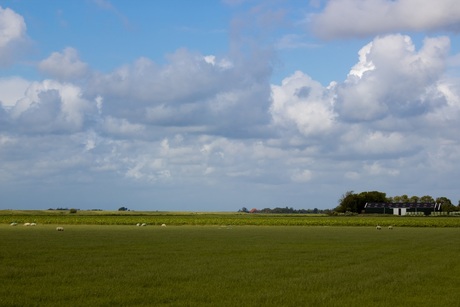 Texels landschap