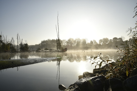 Biesbosch