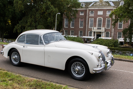 Jaguar XK 150