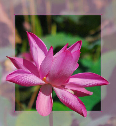 langs de kant van de weg