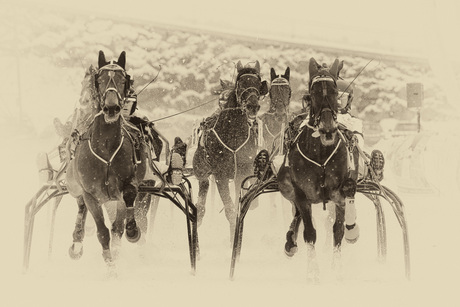 Winter horse racing