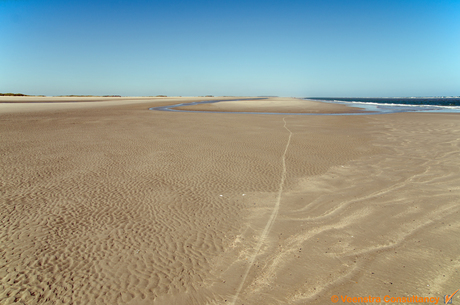 De Balg - Schiermonnikoog