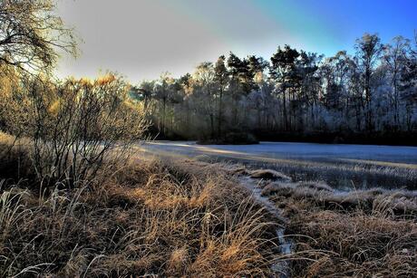 Vennetje in winterland