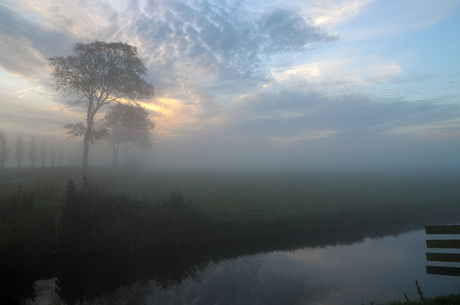 herfstmorgen