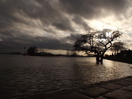 Hoogwater