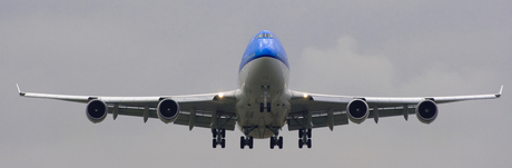 KLM big bird