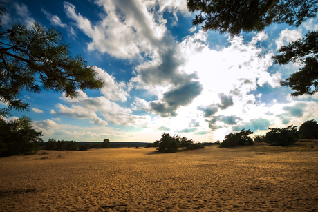 Veluwe