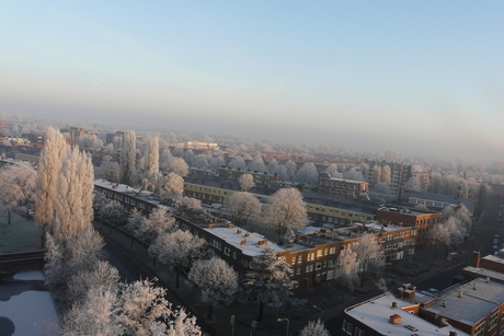 warme winterlicht