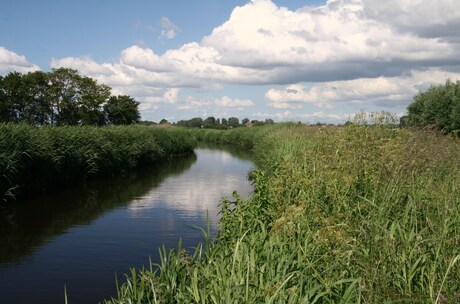 wolken