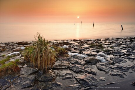 Langs het IJsselmeer