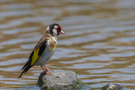 Denk niet dat ik nog een keer in bad ga!