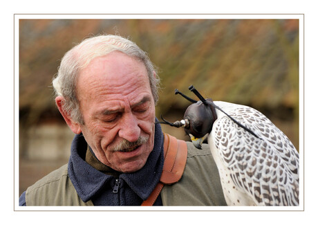 Valkenier met vogel