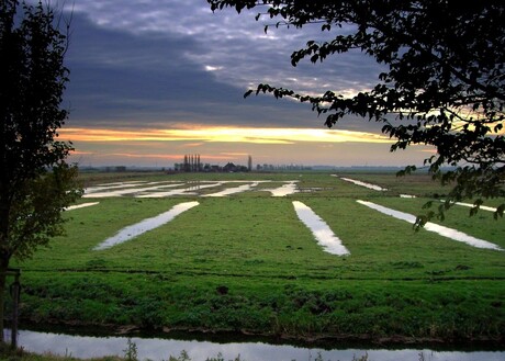 Natte Polder