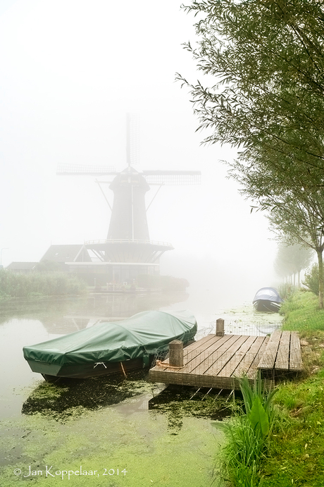 Mist in de Alblasserwaard