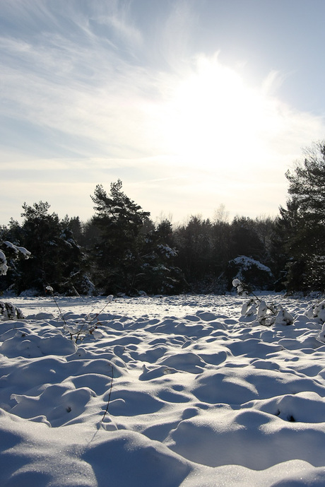 Kerst op de veluwe 01