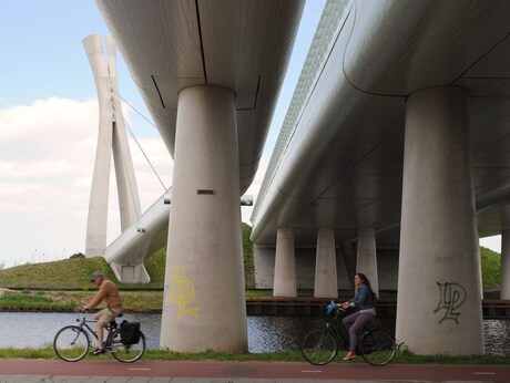 Wild- en verkeersbrug