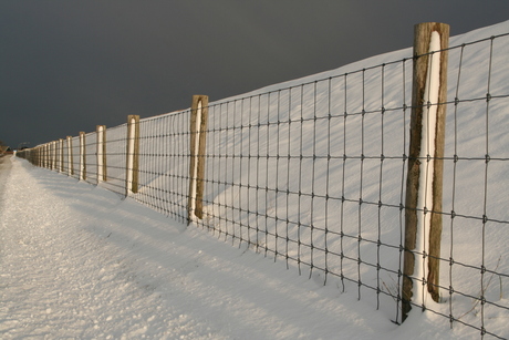 Waddendijk Texel