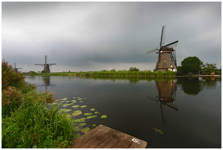 Kinderdijk