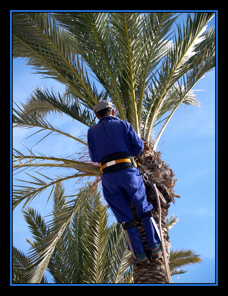 De man uit de boom kijken...