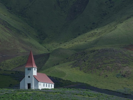 het vik kerkje omringt door luphine