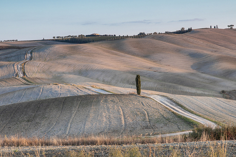 Toscane