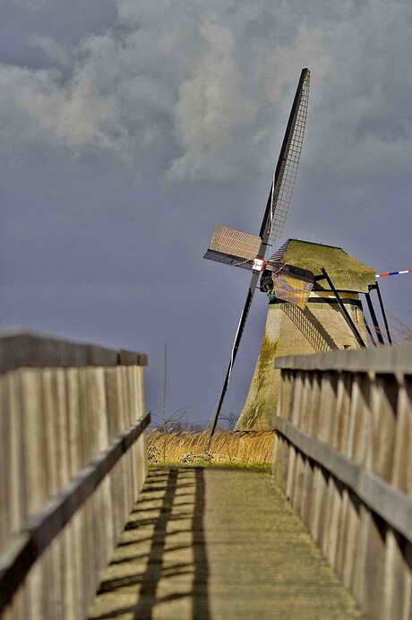 Molen in Kinderdijk