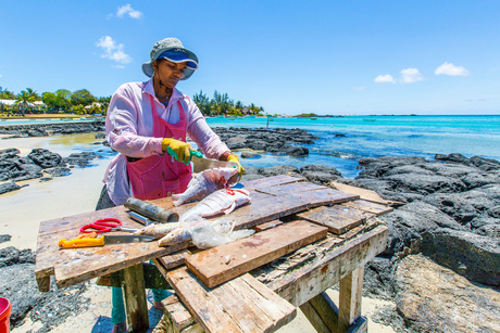 Vis schoonmaken aan de Cap Malheureux - Mauritius