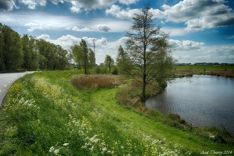 Mooi in de Polder