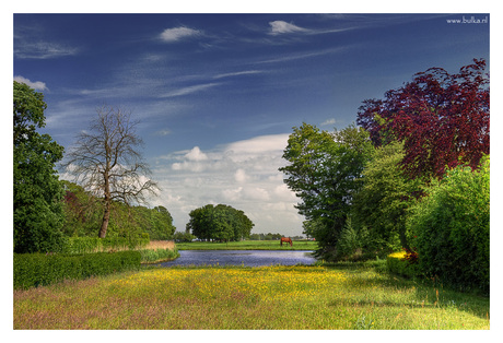 Landschap met paard en kale boom