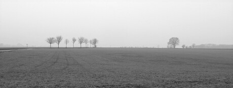 landschap (8)