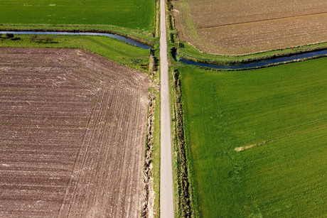 Typisch nederlands landschap