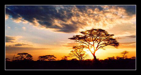 Sunset on Serengeti