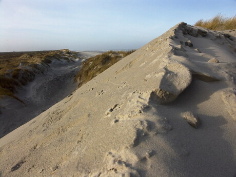 In de duinen