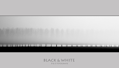 Black & White..