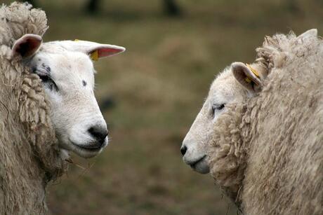 Heb ik wat van je aan?