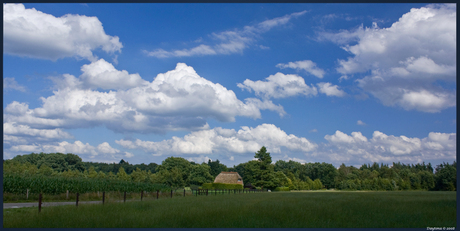 Landschap bij Vierhouten