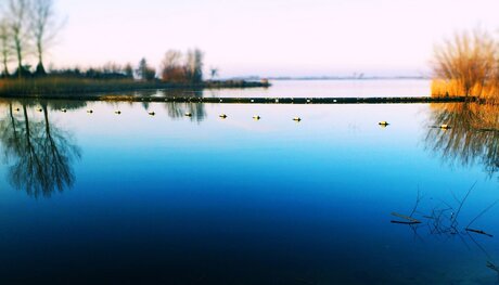Aan het strandje in Langweer
