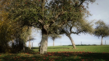 sfeerbeelden in de Belgische Ardennen